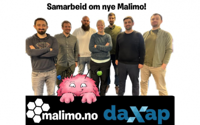 Malimo og Daxap: Utvikling av en Digital Plattform gjennom Samarbeid